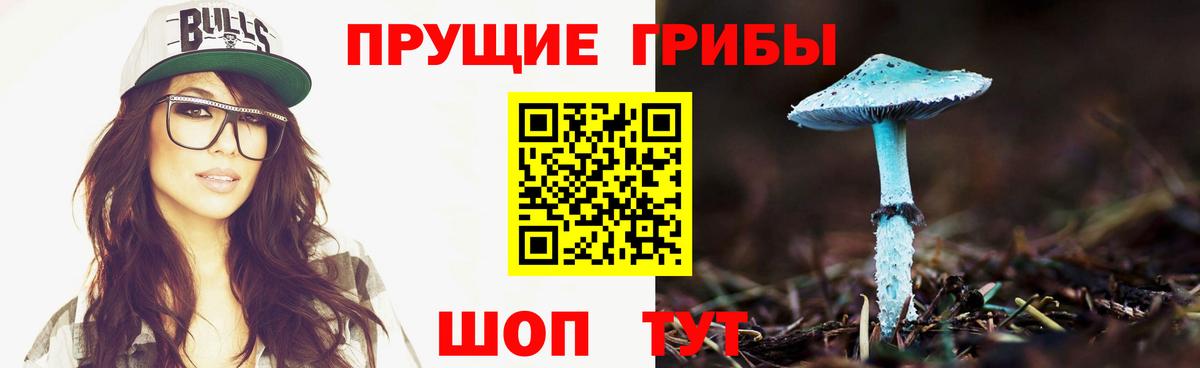 Псилоцибиновые грибы мицелий  Псилоцибиновые грибы MAGIC MUSHROOMS  Чита  Вход с VPN 